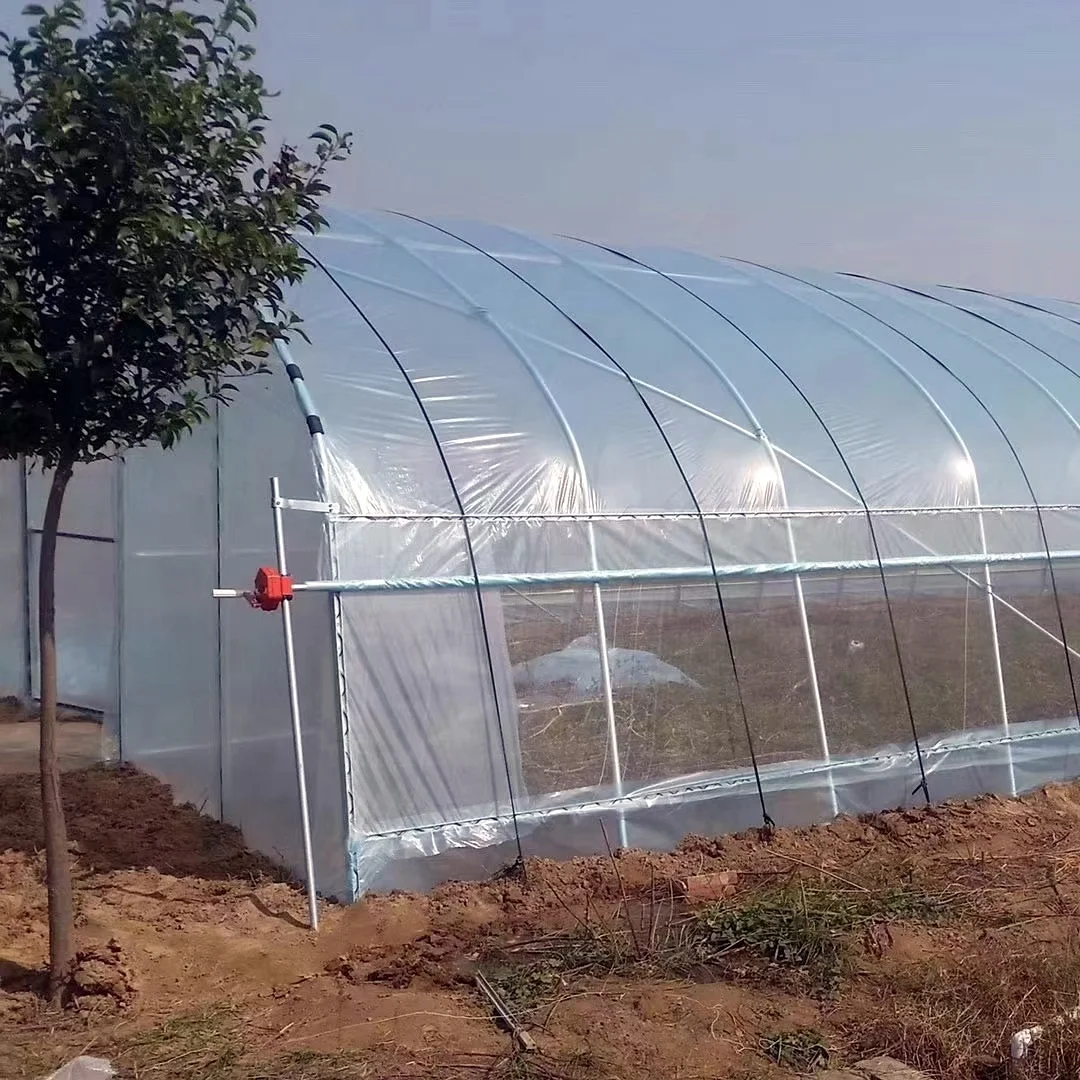 High quality cheap price greenhouse farm for tomato growing .