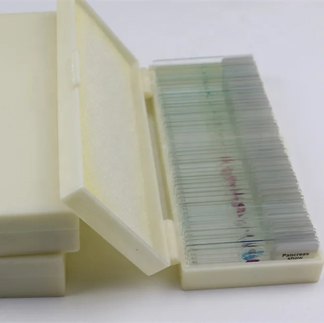 Laboratory apparatus zoology microscope slide for searching use