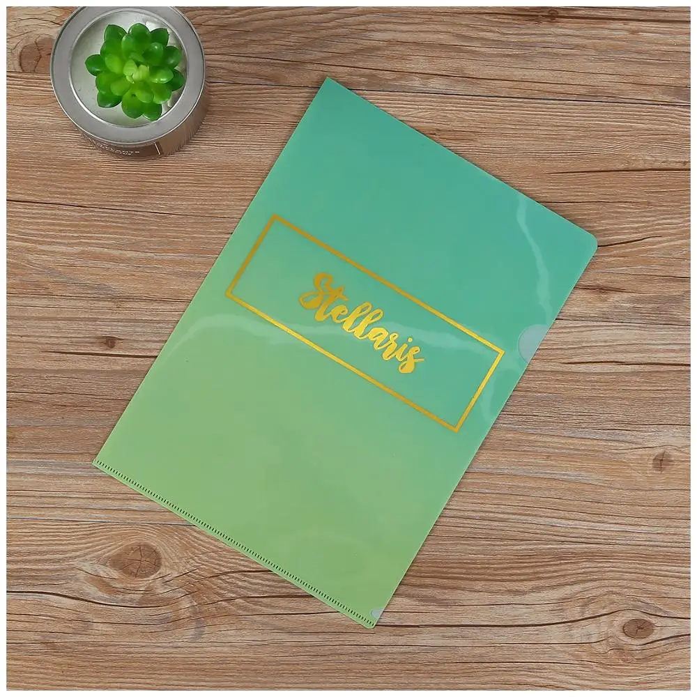 
Custom decorative A4 size PP plastic clear L shape file folder 