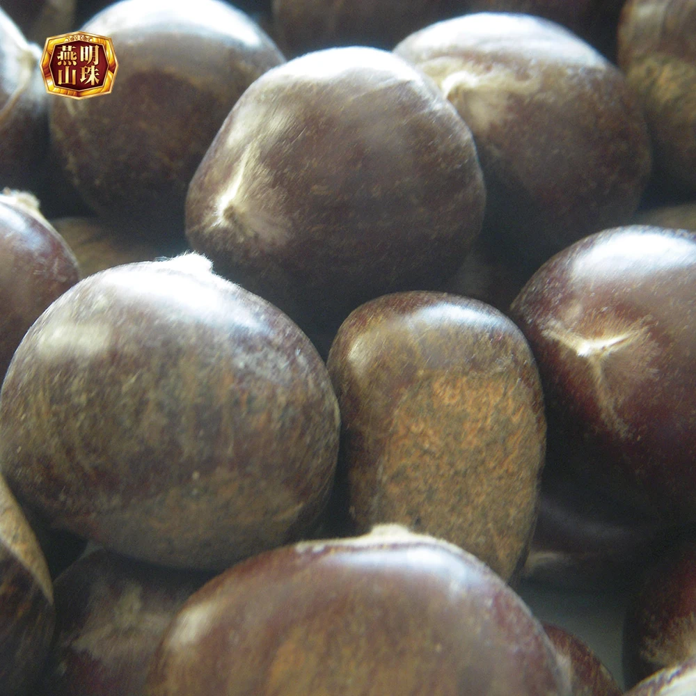 Hot Sale Chinese Sweet Fresh  Chestnut Kernel for Sale