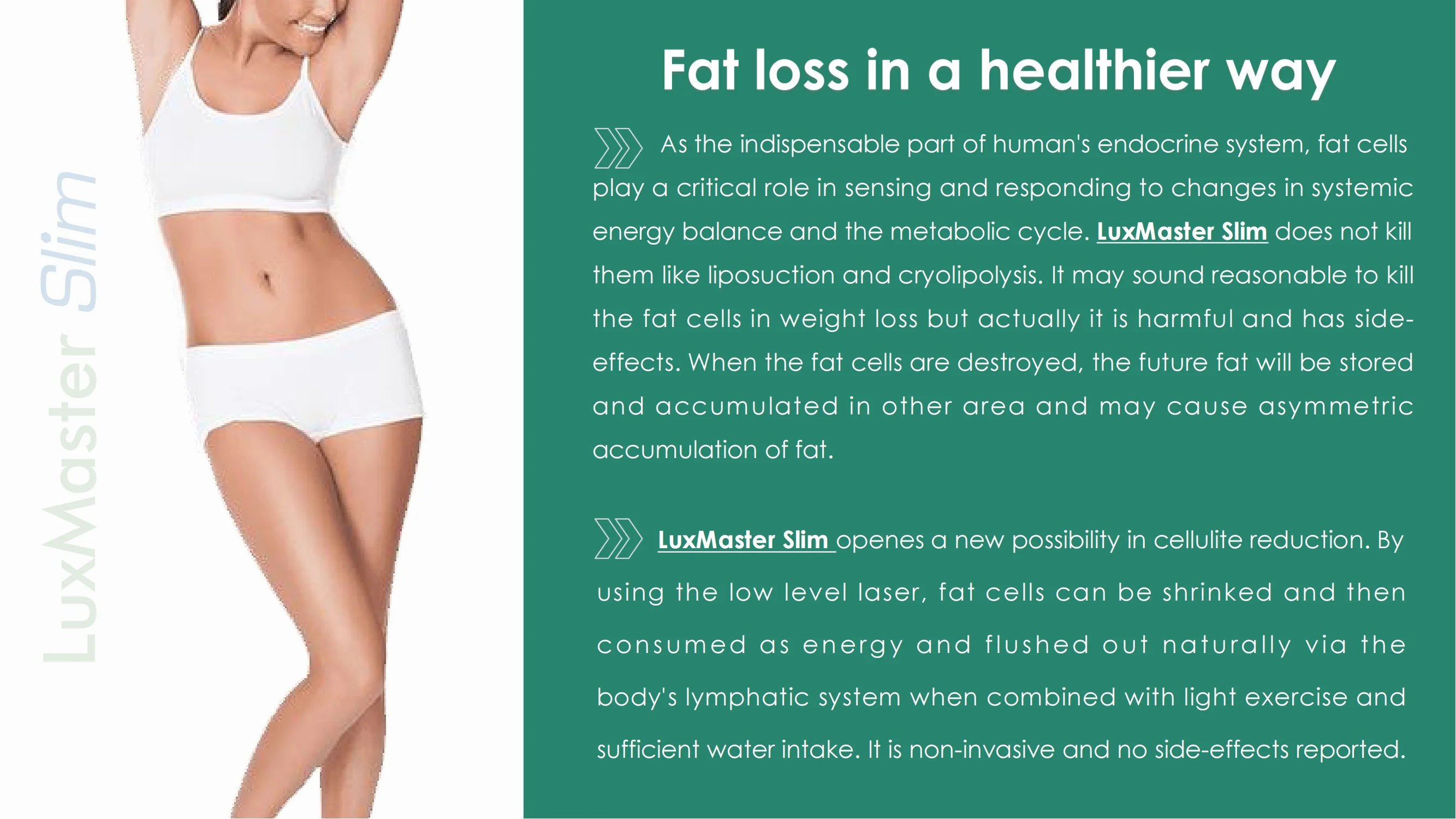 LuxMaster Slim_01.png