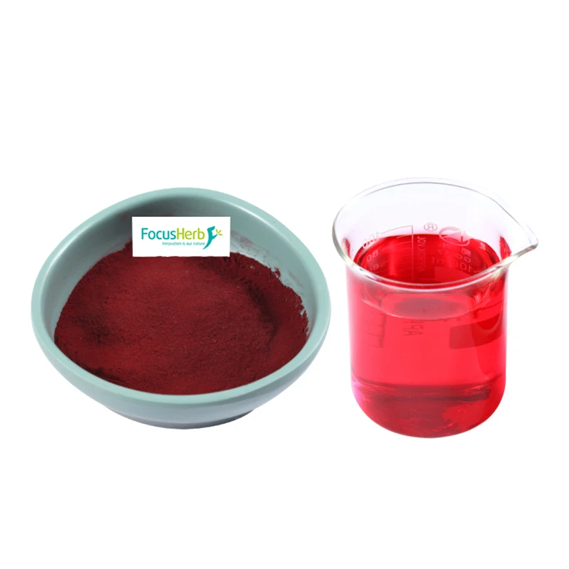 
FocusHerb Anthocyanidins 25% Elderberry Extract Powder 