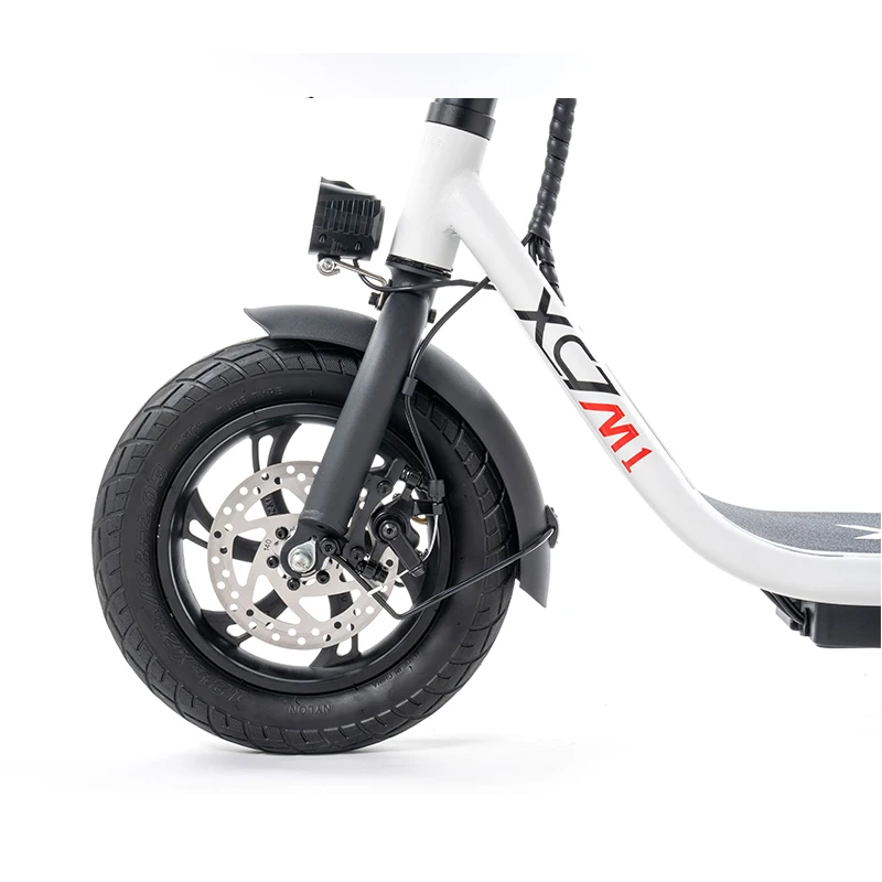 12inch e scooter-123.jpg