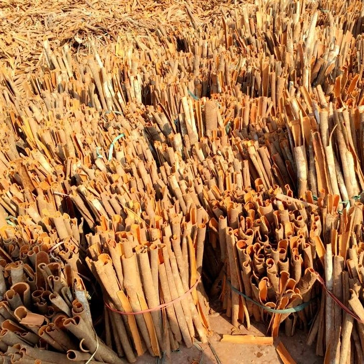 Тубус корицы/натуральный цвет кассии цена