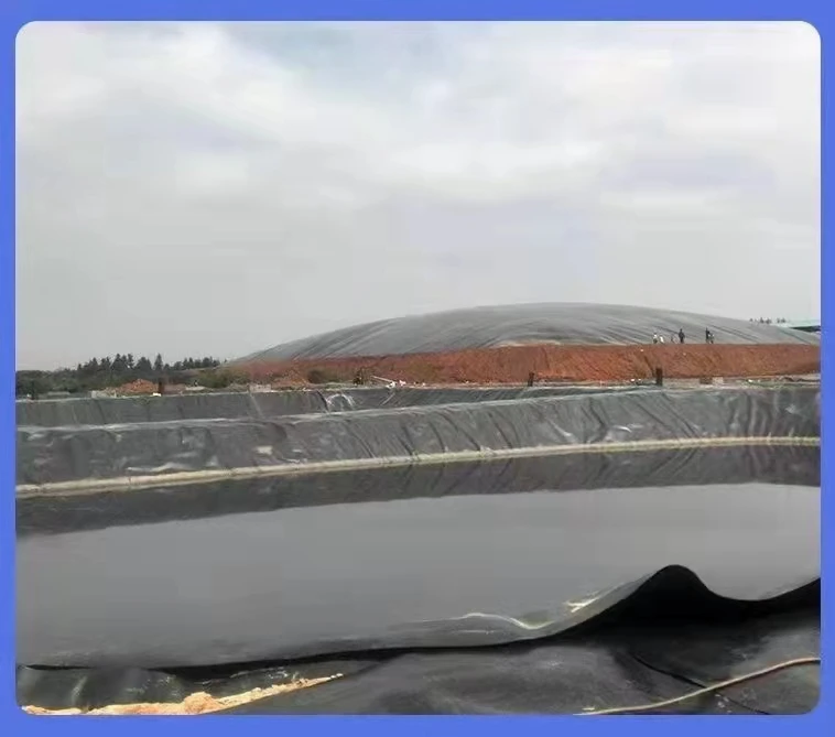 Polyethylene geomembrane fish pond waterproof aquaculture black HDPE impervious membrane