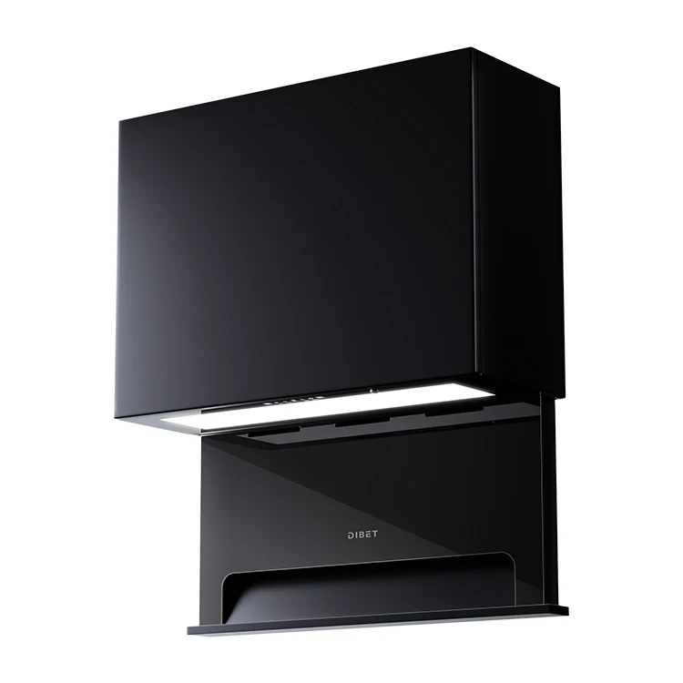 Modern design space-saving fully hidden lifting side suction range hood with nano body