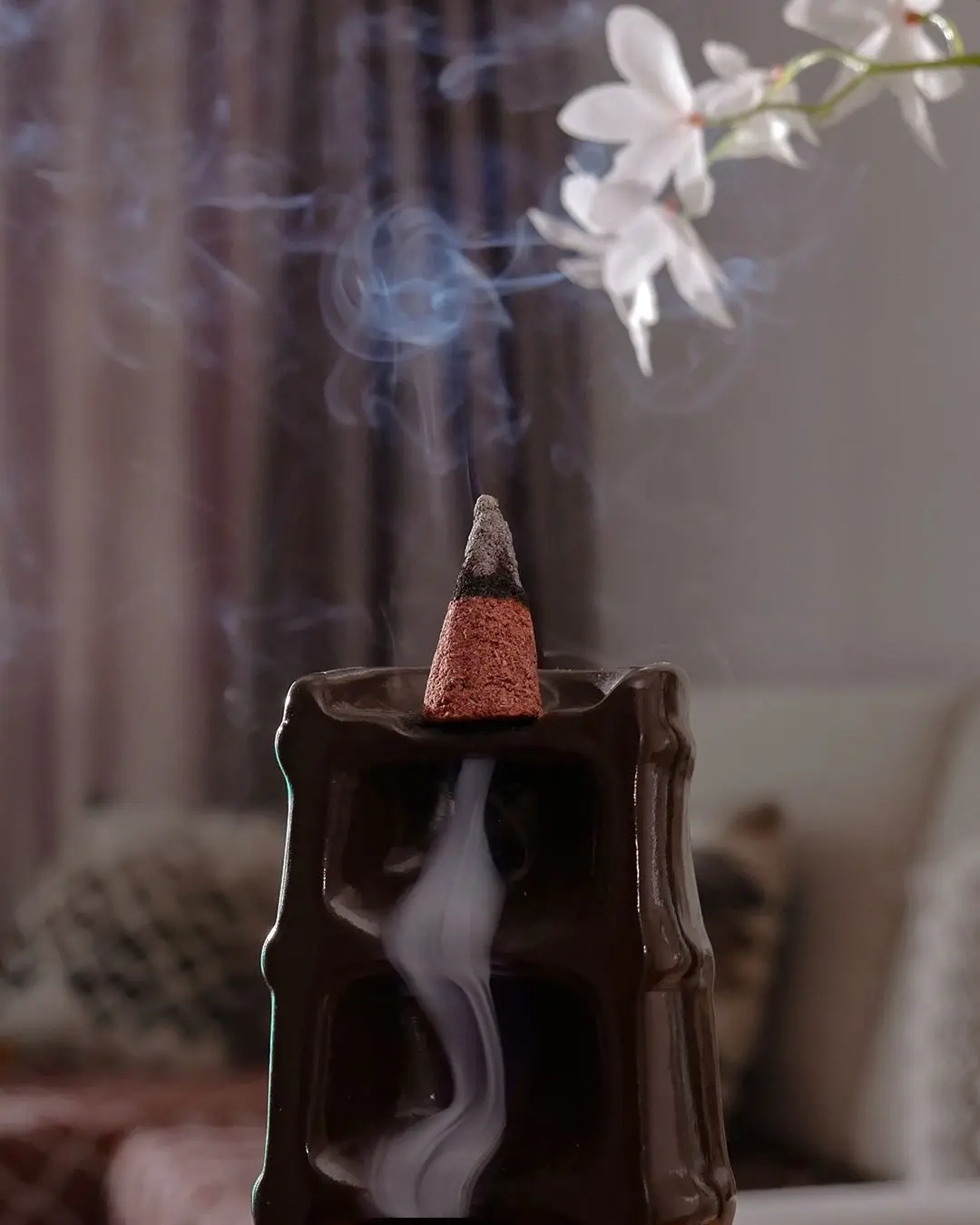 New Ispalla 7 Days of Renewal Palo Santo Backflow Incense Cones Mixed Scents Citrus Woody Sweet Natural Incense Peru