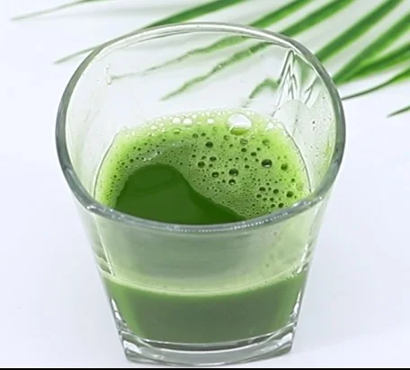 OEM private label matcha tea custom logo organic natural matcha 30g per tin usda certified organic