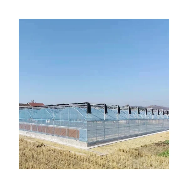 Sale Multi-Span Greenhouse Hydroponic System Agricultural Film Covered for Climate Control of Tomatoes & Cucumbers Green house