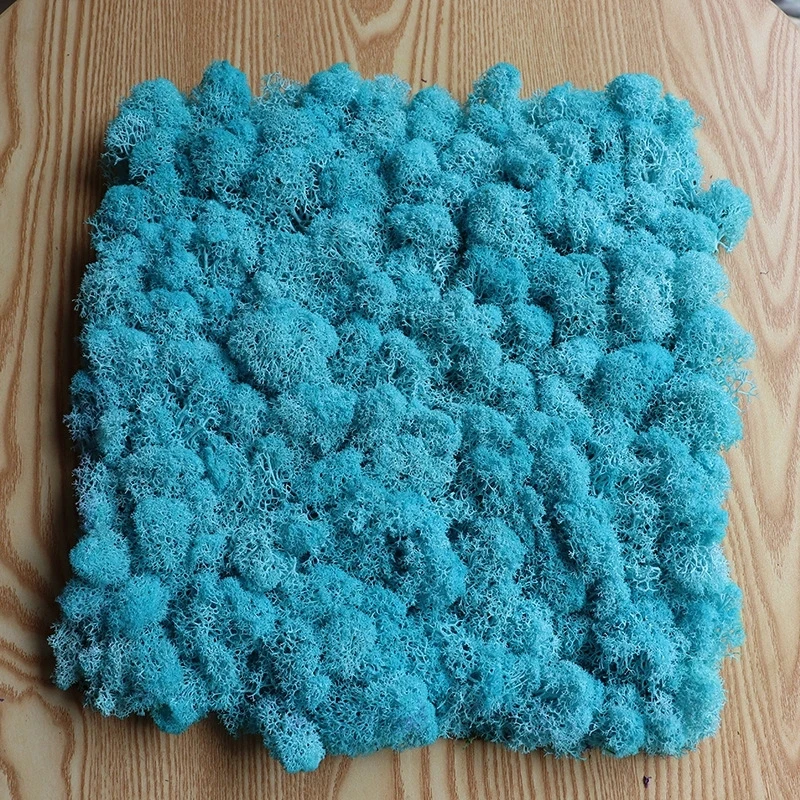 Yunnan Culinan Custom High Quality Lichene Stabilizzato Hotel Moss Decorative Green