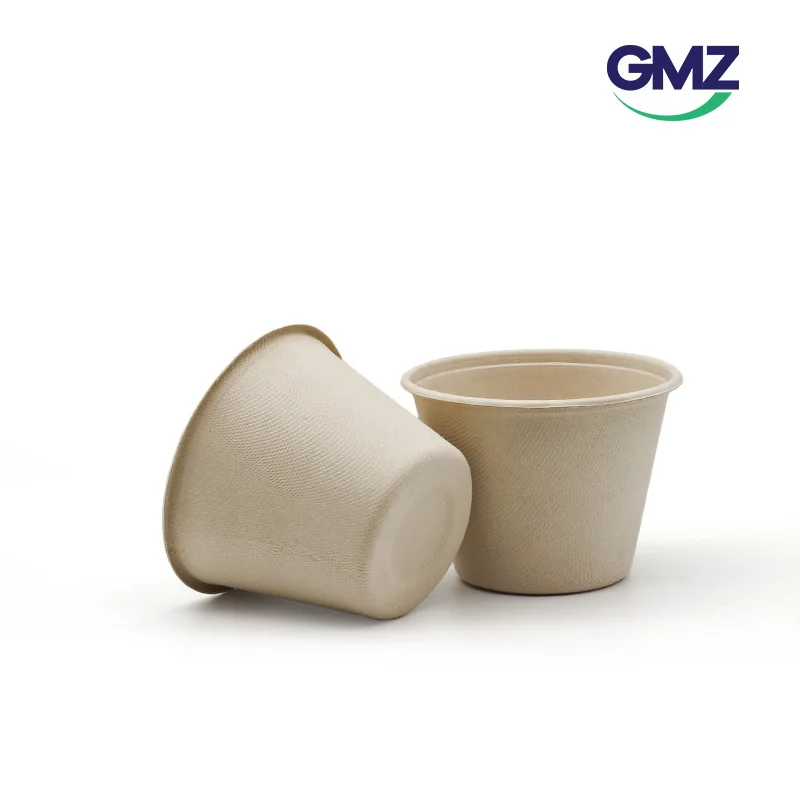 100% compostable bagasse plates paper packaging box supplier customized eco friendly cutlery