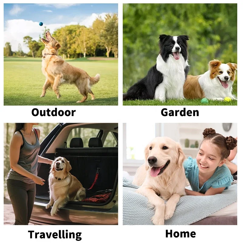 OEM Large Pet Cleaning Dog Washing Hand Gloves Body Wipes Biodegradable Shampoo Grooming Products for Pets Care