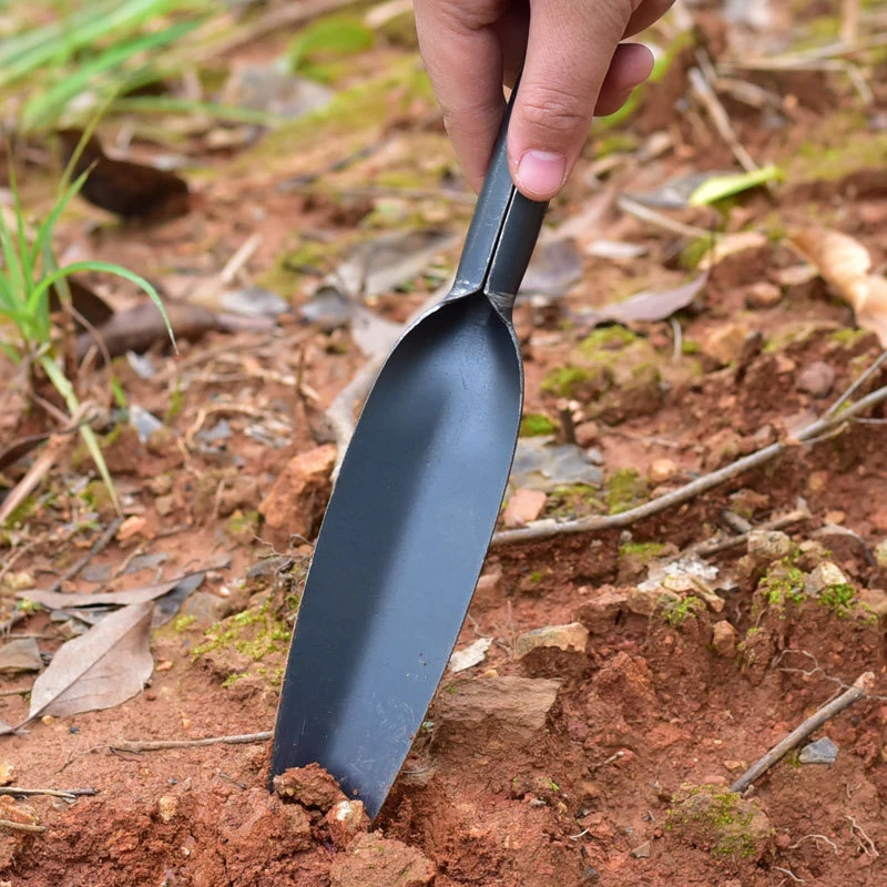 Promotion lancet garden spatula is the best tool for digging and transplanting garden tools with sharp spatula tips