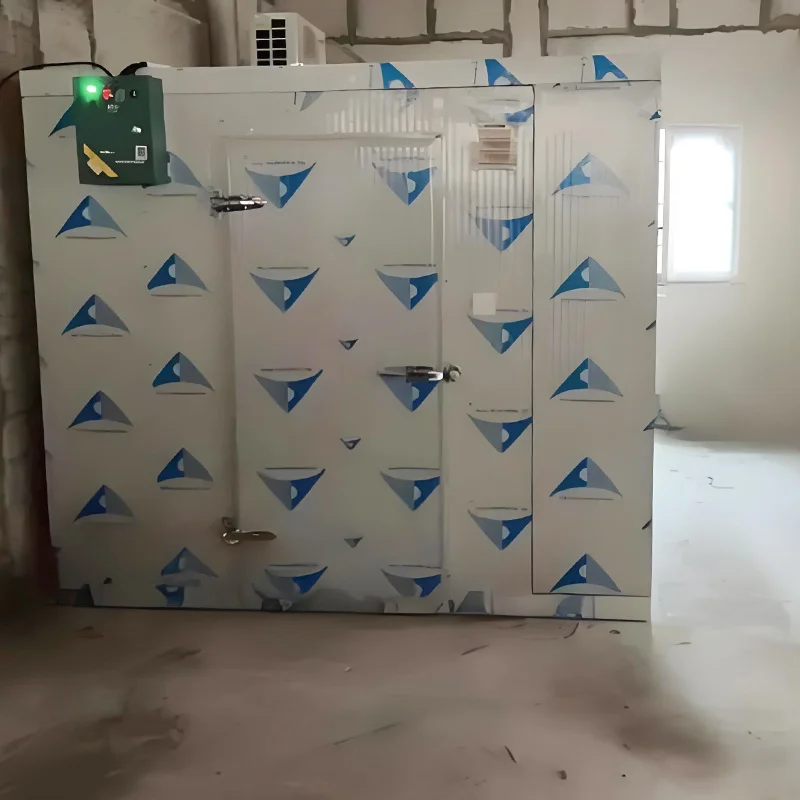 Высококачественная холодильная камера Заводская прогулка в холодильной камере морозильной для мясной рыбы морепродуктов курицы