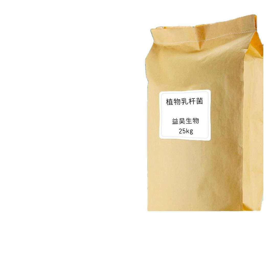 Factory Sale Anti-Inflammatory Stable Safe Strong Butyric Acid Production Clostridium Butyricum