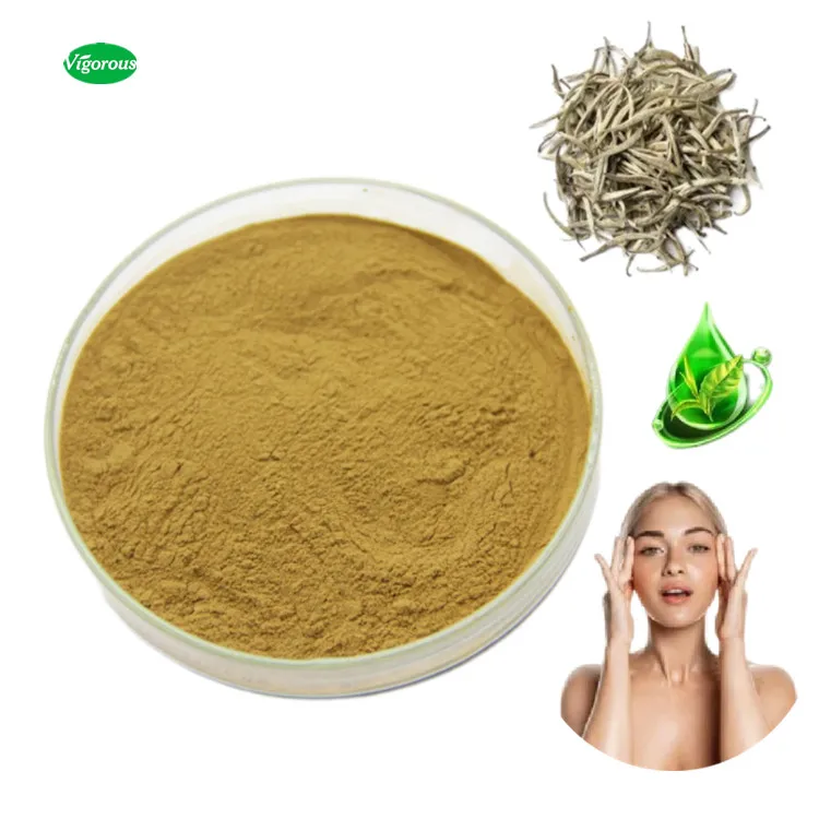 Good selling high pure 90%polyphenols white tea extract powder
