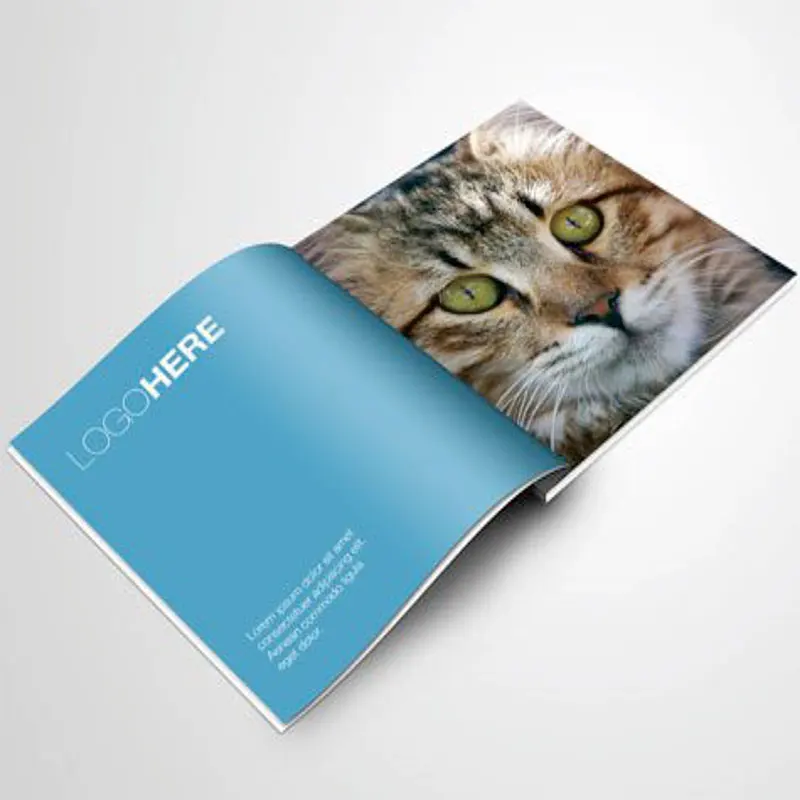China Factory Cheap price Hardcover Custom Children Book Printing For Publishing Company