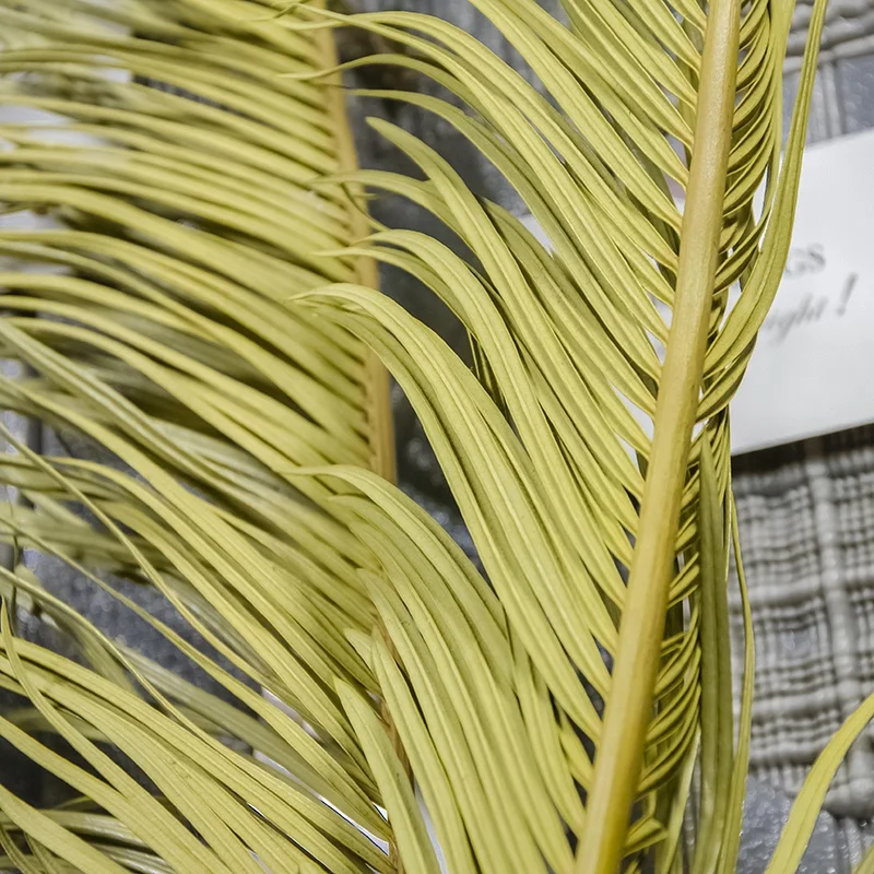 Extra Tall Over 3ft Decorative Flowers Cycas Revoluta Preserved Natural Dried Sago Palm Leaves for Floral Arrangements