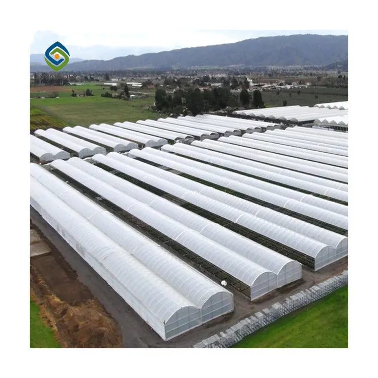 Hot Sale Farm Planting Modular Greenhouse,flower greenhouse