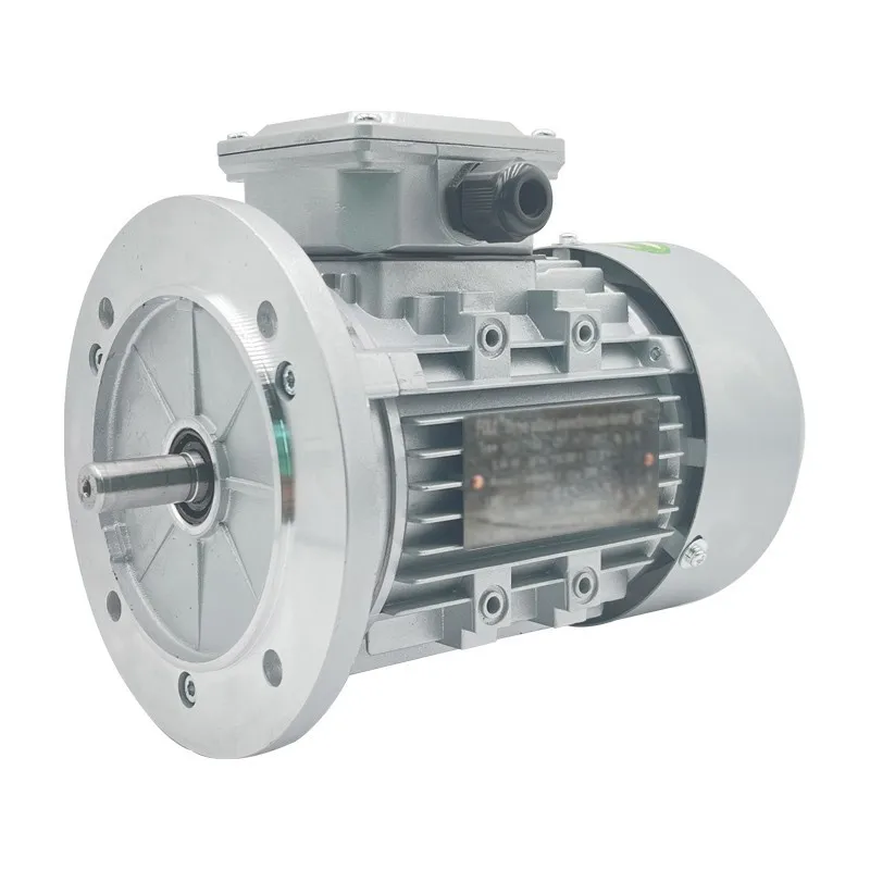 Three phase permanent magnet synchronous motor
