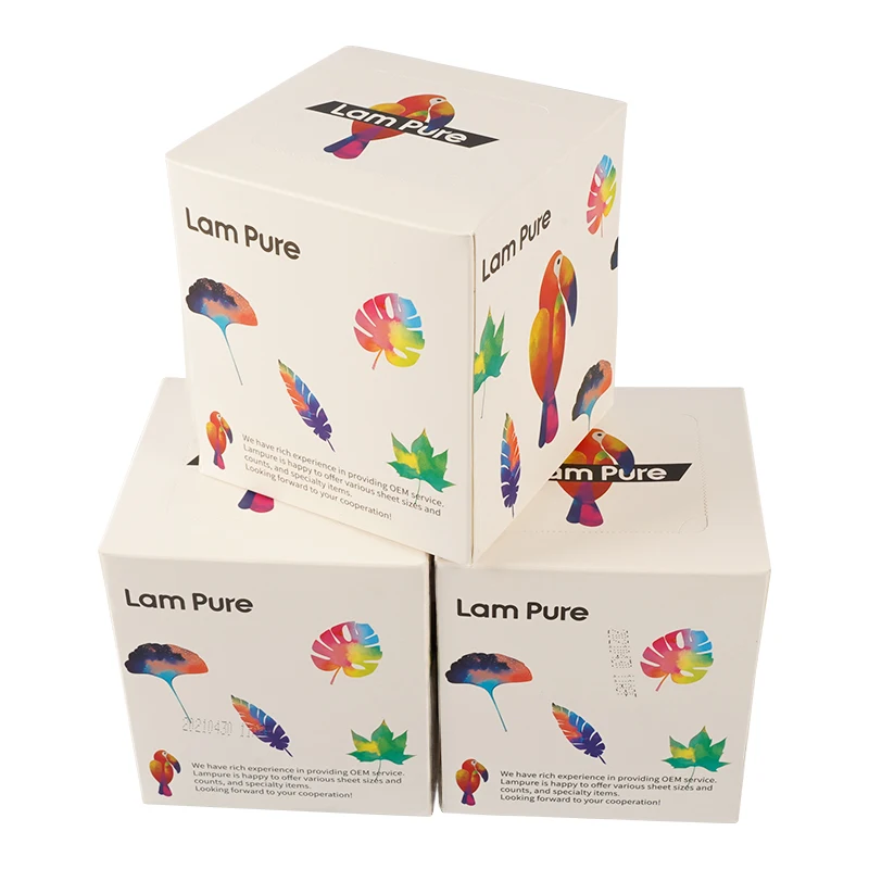Lampure Facial Tissue Cube for Business , Upright Face Tissue Box, 50 sheets Tissues/Box