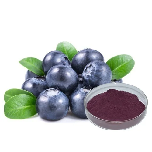 
Factory Supply 25% Anthocyanindins Bilberry Fruit Extract for Anti-Aging 