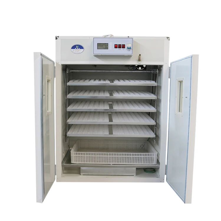  Инкубатор для куриных яиц с большой скидкой 880