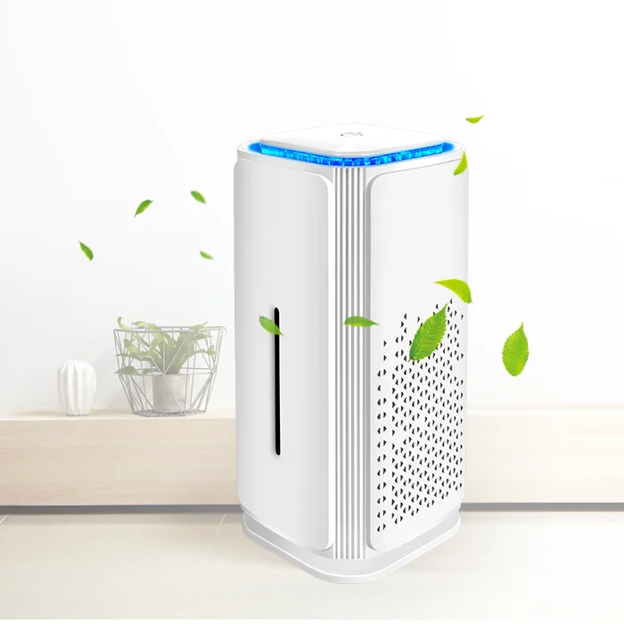 Electric Personal Custom Ionic Ionizer Car Purifier Ion Air Cleaner From China