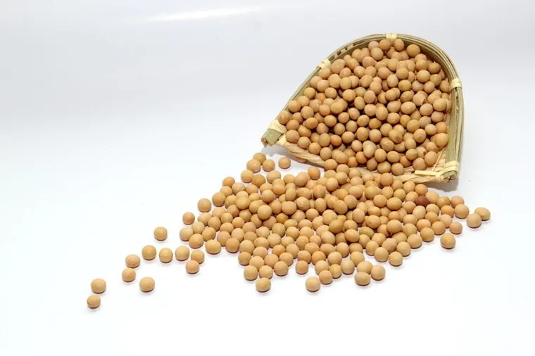 Chinese factory high protein for adible  Salable green non-gmo 350g/bag healthy instant grain soy milk powder