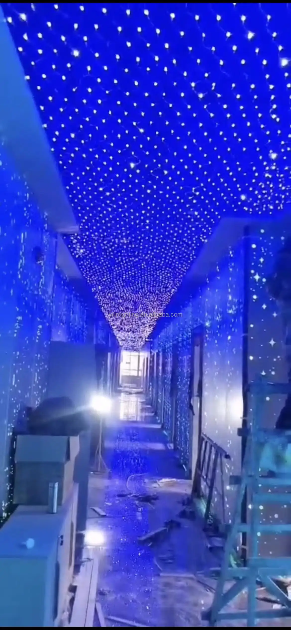 net light for ceiling.jpg