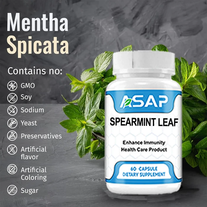 OEM лидер продаж травяные добавки Mentha Spicata порошок капсулы с листьями мяты