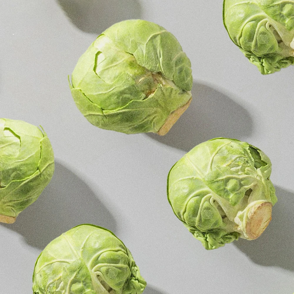 High Quality Organic Spore Cabbage Dried Vegetables with FD & AD Drying Process