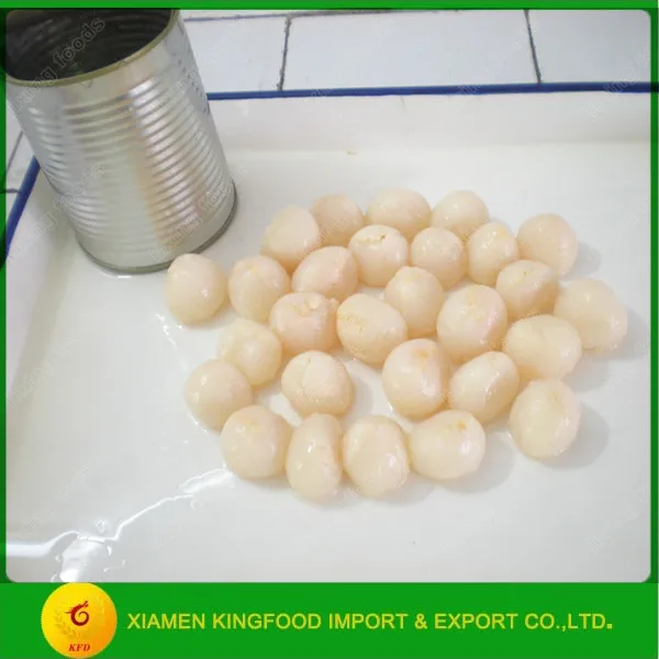 Wholesale New Season Fresh Canned Fruit Canned Lychee / Litchi/ Lichee in Syrup Ready to Eat