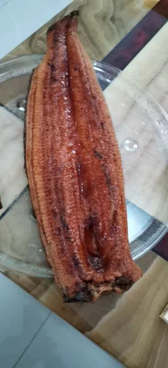 Fish Unagi An Exotic Seafood Choice Frozen Roasted Eel With Vacuum Pack Unagi Kabayaki