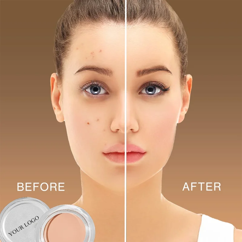 High Quality Cruelty Free Cosmetic Face Concealer Cream Palette Waterproof Long Lasting Private Label Makeup Concealer