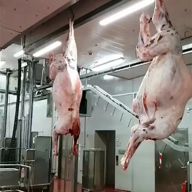 Halal Meat Slaughter Process Camel With Quality Abattoir Machine