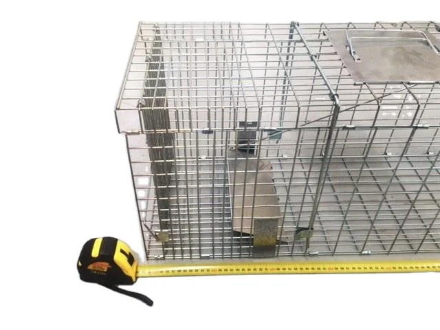 Easy to Use and Humane X-Large Animal Trap for Large Critters | Double Door Live Traps for Cats, Racoons, Groundhogs, Opossums