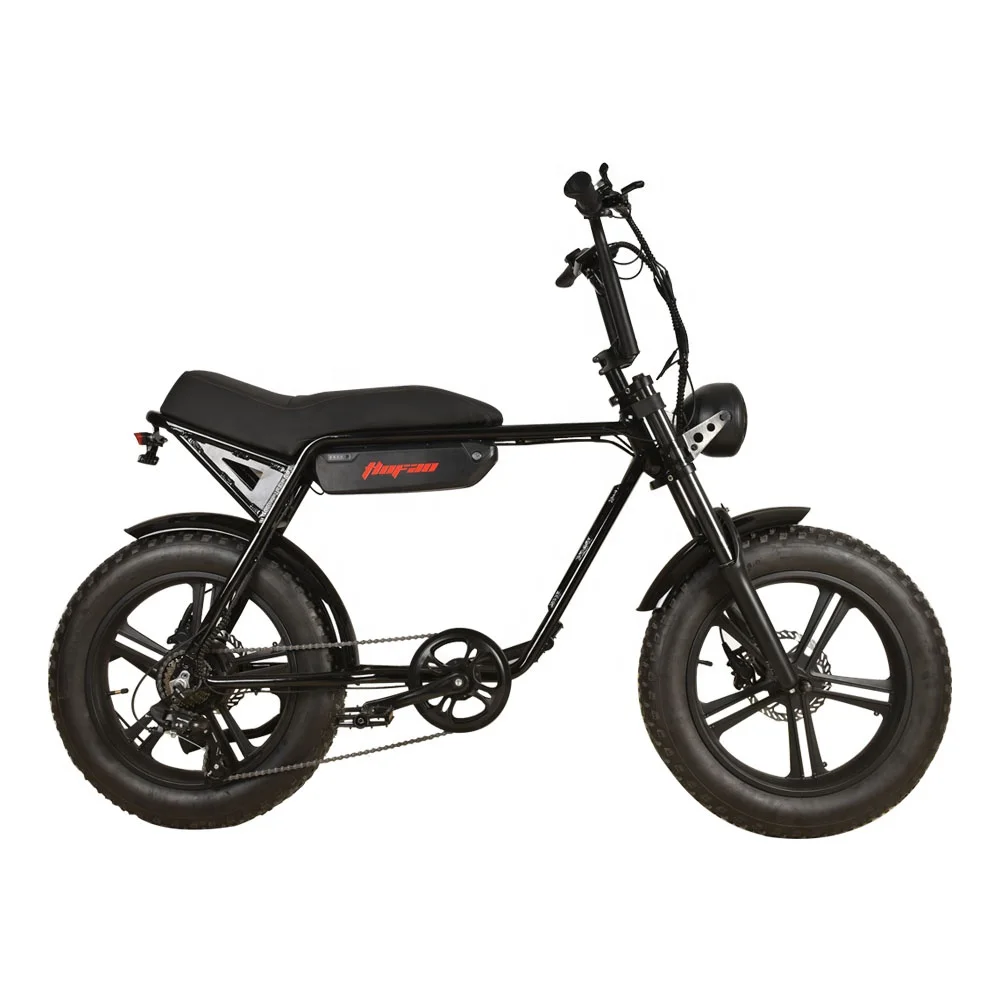 2024 hot sale 500 watt 48v fat tire mountain electric ebike bicicletta elettrica Adult full suspension electric motorcycle