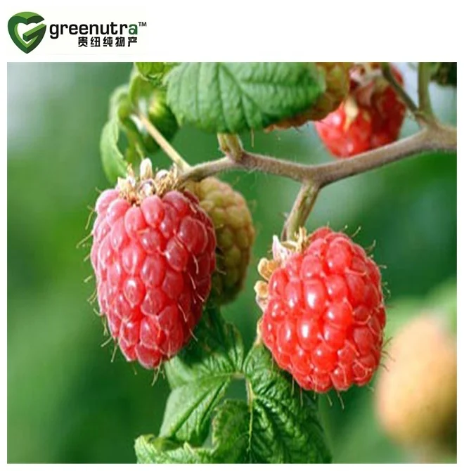 Raspberry Extract