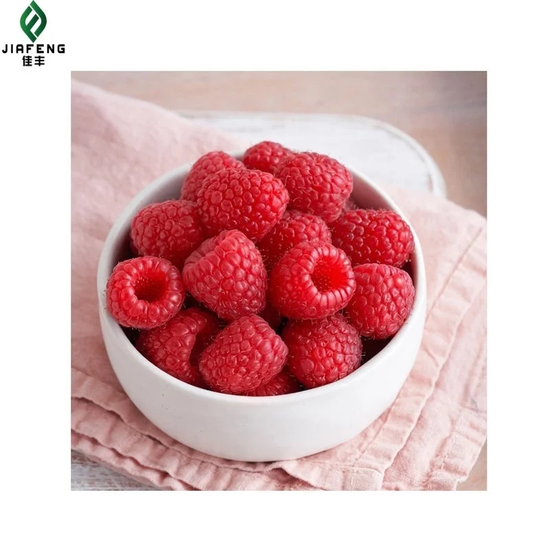 IQF Raspberry frozen Factory Price Sweet Taste 90% Whole Red Frozen Raspberry for Sale