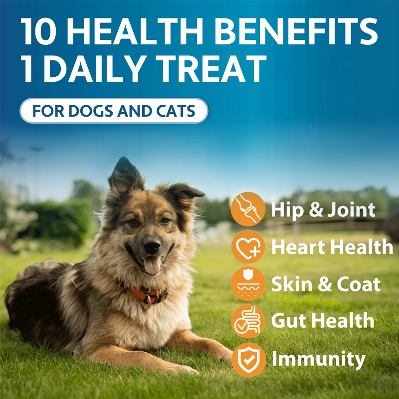 Multivitamin for Dogs Pet Multivitamin for Dogs Supports Natural Health Supplements Vitamins Probiotic Pet Multivitamin Granules