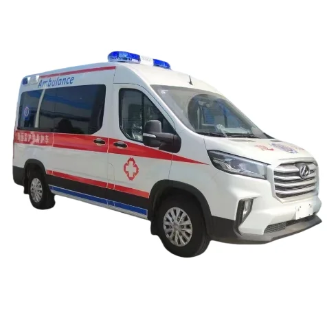 Factory Direct Sale Emergency Ambulance Vehicle Medical Van Ambulance with Basic Life Support