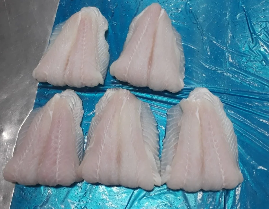 Scrumptious Pangasius Pangasius/ Dorry Fillet/ Basa fish fillet competitive offer