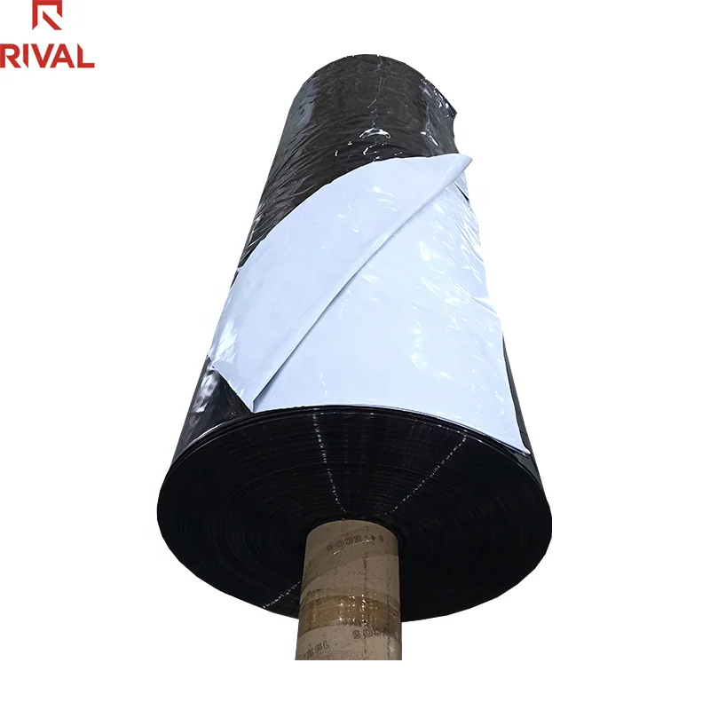 5.5mil 6mil 8mil Thick Polyethylene Panda Film Black White 10 x 100 Plastic Sheeting Roll for Greenhouse Silage Cover Film