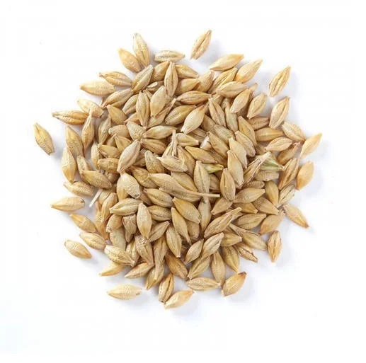 Высококачественный ячмень для корма для животных, оптом