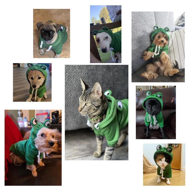 Cute Green Dog Hoodie Clothes Costume Fleece Winter Sweater for Dogs Puppy Coat Dog Warm Clothe