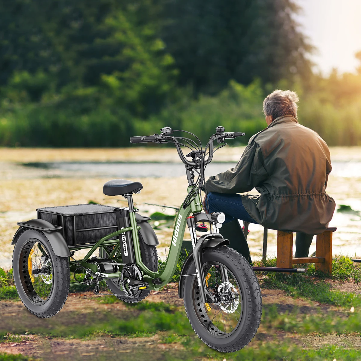 Central Motor Hidoes ET1 48v 750w 20ah Removable Big Battery Fat Tire Electric Tricycle/Cargo Bike