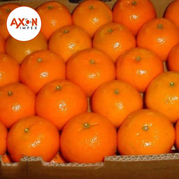 
Orange Fresh Mandarin Fruit Kinnow Fruits exporter , Pakistan Kinnow fresh Citrus 