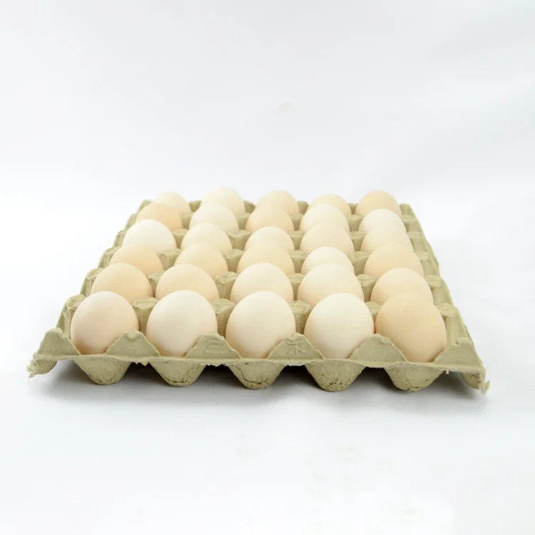 Factory Wholesale 30 Cells Paper Pulp Egg Tray 30 holes Eco-friendly pulp egg cartons recyclable paper eggs box biodegradable