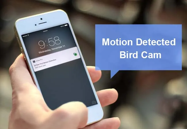 New Arrival CMOS 1080P 5MP IP Network P2P Cctv SD Card IR CUT Infrared Mini IR Wifi Wireless Camera With Double Bracket Camhi